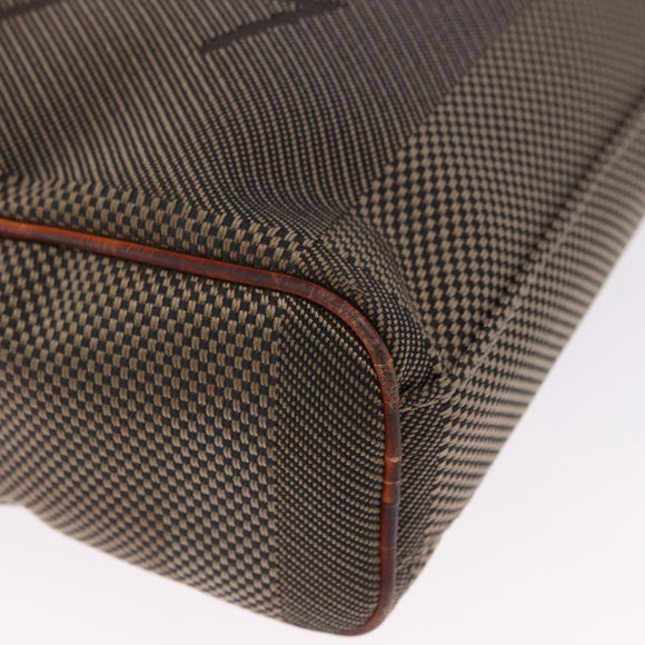 LOUIS VUITTON Damier Geant Sitadan NM Bag Brown Tail M93224 LV Auth BA15134