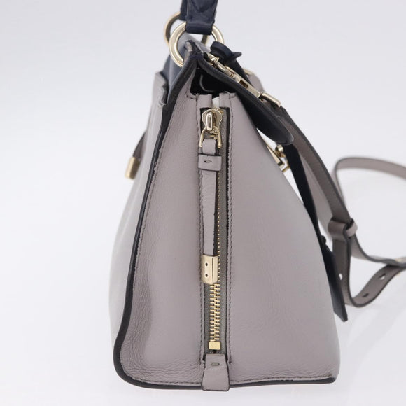 Salvatore Ferragamo Jet Set Hand Bag Leather 2way Gray Gold Tone Auth BA15329A