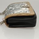 BURBERRY Sequin Chain Shoulder Bag Leather Silver Auth BA1535-4