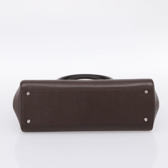 BURBERRY Hand Bag Leather Brown Silver Auth BA15380A