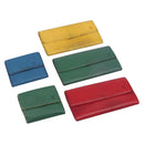 LOUIS VUITTON Epi Wallet 5 Set Red Green Blue LV Auth BA15469-1