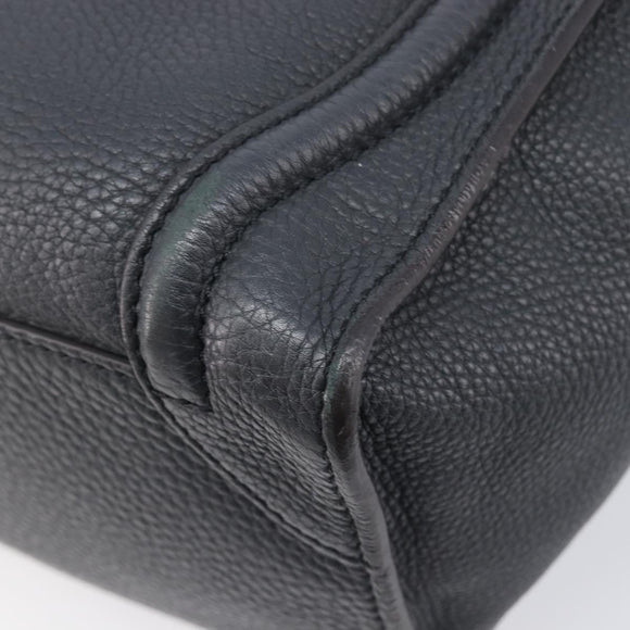 CELINE Luggage Nano Hand Bag Leather Gray Gold Auth BA15888V
