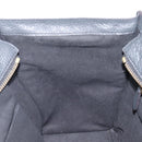 CELINE Luggage Nano Hand Bag Leather Gray Gold Auth BA15888V-20