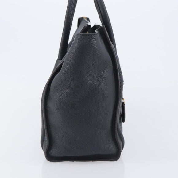 CELINE Luggage Nano Hand Bag Leather Gray Gold Auth BA15888V