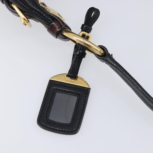 PRADA Shoulder Bag Vittero Dino Leather Black Gold Auth BA15917V