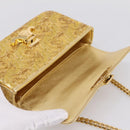 CELINE Sequin Chain Shoulder Bag Leather Gold Auth BA15971SM-19