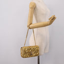 CELINE Sequin Chain Shoulder Bag Leather Gold Auth BA15971SM-23