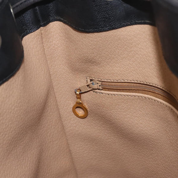 Christian Dior Trotter Shoulder Bag PVC Black Gold Tone Auth BA16105
