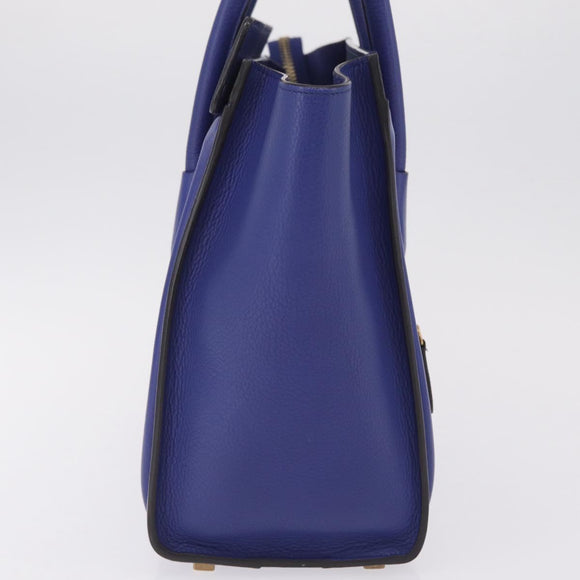 CELINE Luggage Micro Shopper Hand Bag Leather Blue Gold Tone Auth BA16273V