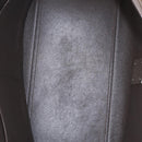 CELINE Trapeze Hand Bag Suede 2way Beige Silver Auth BA16986V-23