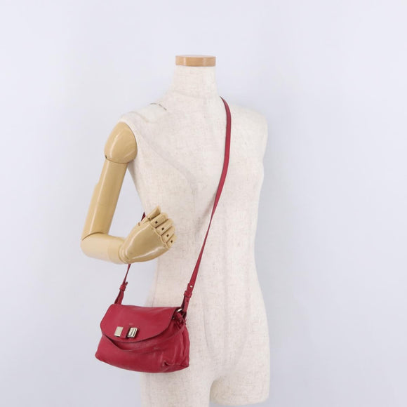 Chloe Lily Shoulder Bag Leather Pink Gold Auth BA17053