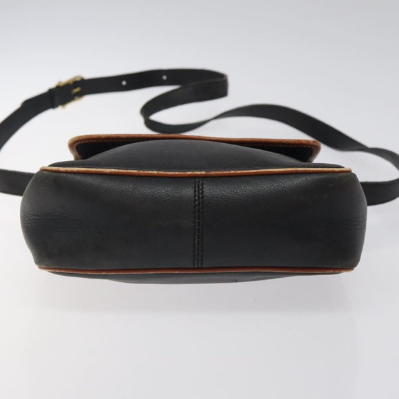 CELINE Shoulder Bag Leather Black Gold Auth BA1801