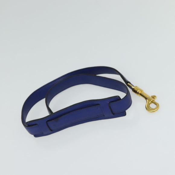 CELINE Trapeze Hand Bag Suede Leather 2way Blue Gold Auth BA2409