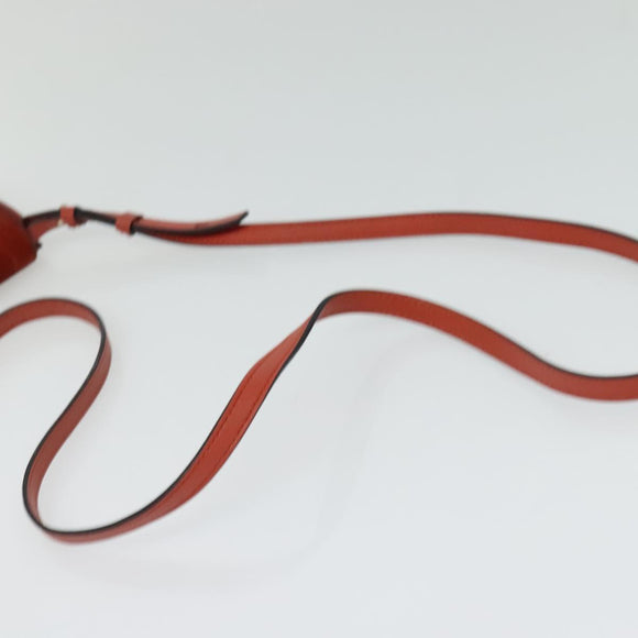 Chloe Faye Small Shoulder Bag Leather Suede Red Gold Auth BA2824