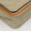 LOUIS VUITTON Damier Geant Messager NM Shoulder Bag Gray LV Auth BA2846-8