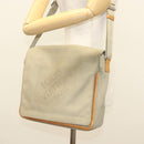 LOUIS VUITTON Damier Geant Messager NM Shoulder Bag Gray LV Auth BA2846-22