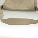 LOUIS VUITTON Damier Geant Messager NM Shoulder Bag Gray LV Auth BA2846-7