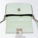 CELINE Shoulder Bag Leather Peppermint Silver Auth BA3419-15