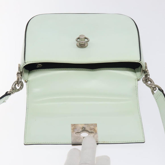 CELINE Shoulder Bag Leather Peppermint Silver Auth BA3419