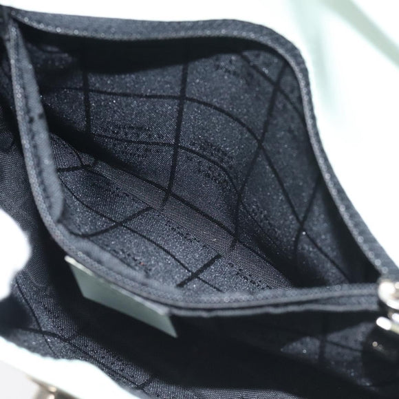 CELINE Shoulder Bag Leather Peppermint Silver Auth BA3419