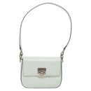 CELINE Shoulder Bag Leather Peppermint Silver Auth BA3419-13