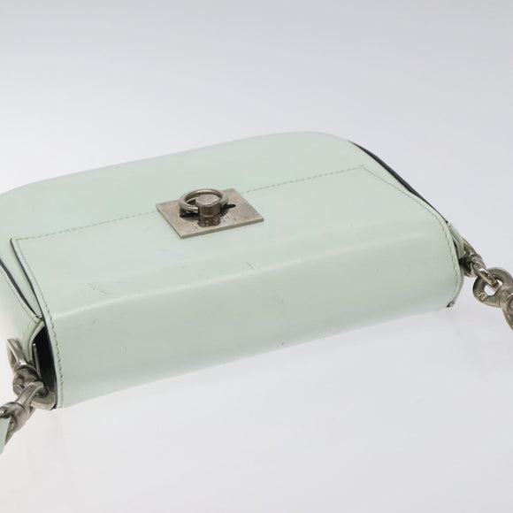 CELINE Shoulder Bag Leather Peppermint Silver Auth BA3419