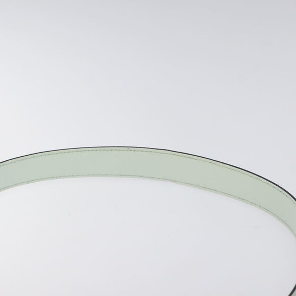 CELINE Shoulder Bag Leather Peppermint Silver Auth BA3419