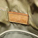 LOUIS VUITTON Damier Geant Citadan NM Bag Brown Tail M93224 LV Auth BA3796-10