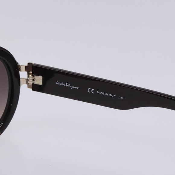 Salvatore Ferragamo Sunglasses plastic Brown Auth BA4248