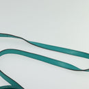 FENDI Petite To Jules Hand Bag Leather Silver Emerald Green Auth BA4473-15