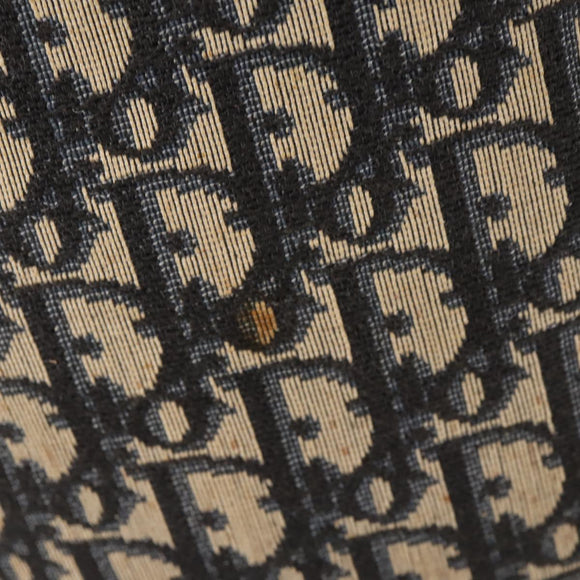 Christian Dior Trotter Canvas Hand Bag Navy Auth BA5304