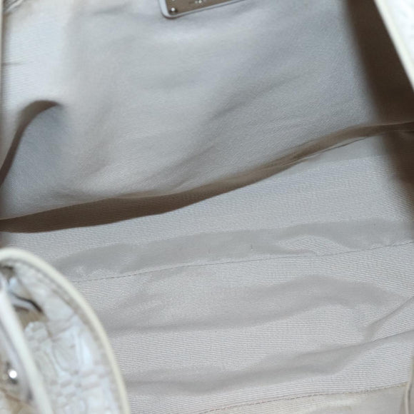 Salvatore Ferragamo Shoulder Bag Nylon Beige Silver Auth BA5336