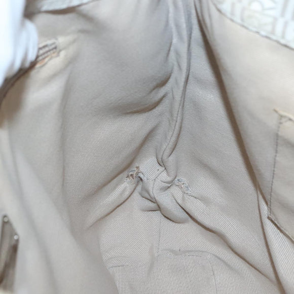 Salvatore Ferragamo Shoulder Bag Nylon Beige Silver Auth BA5336