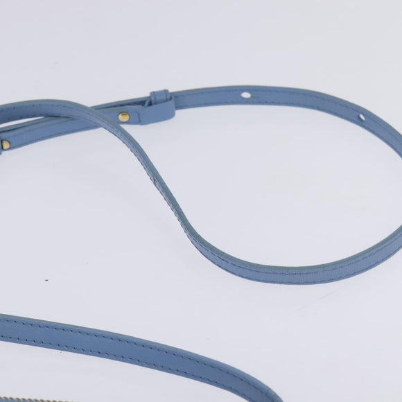 CELINE Trio Shoulder Bag Leather Light Blue Gold Auth BA5615