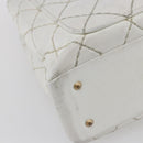 CHANEL Wild Stitch Chain Shoulder Bag Lamb Skin Beige Gold CC Auth BA6359-16