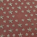 Jimmy Choo Star Studs Shoulder Bag Leather Pink Silver Auth BA6611-10