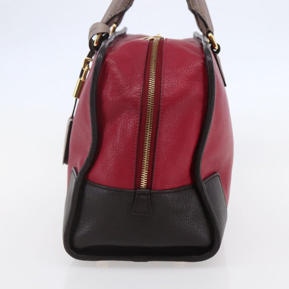 LOEWE Anagram Amazona 36 Hand Bag Leather Red Gold Auth BA7089