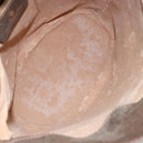 GUCCI GG Supreme Web Sherry Line Bag PVC Leather Beige 40 02 081 Auth BA7253-10