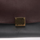 CELINE Trapeze Medium Hand Bag Leather 2way Gray Gold Auth BA7555-16