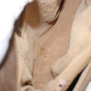 GUCCI GG Supreme Web Sherry Line Bag PVC Beige Gold 72 02 024 Auth BA7793-18