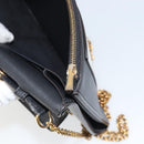 CELINE Chain Shoulder Wallet Bag Leather Multicolor Gold Auth BA8968-24