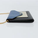 CELINE Chain Shoulder Wallet Bag Leather Multicolor Gold Auth BA8968-4