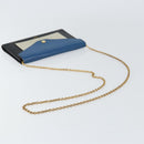 CELINE Chain Shoulder Wallet Bag Leather Multicolor Gold Auth BA8968-7