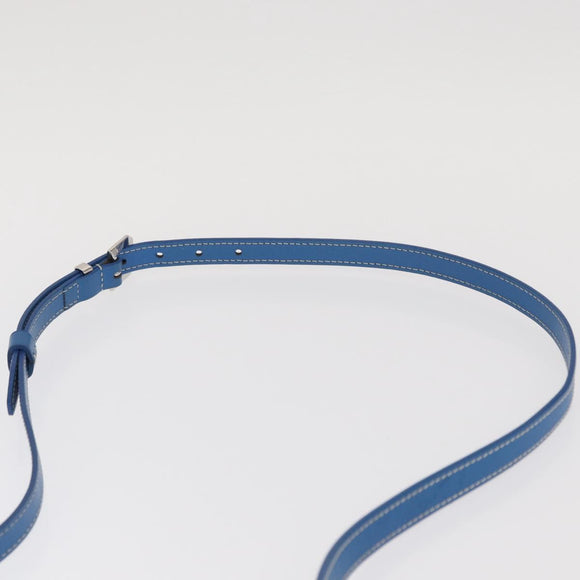 GOYARD Herringbone Cup Veil PM Shoulder Bag PVC Blue Auth BA9006SAM