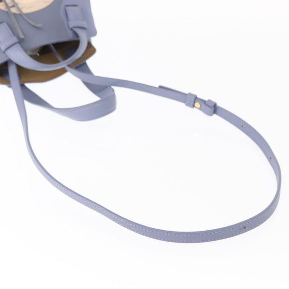 LOEWE Markl Hammock Nugget Loewe x Studio Ghibli 2way Blue Gold Auth BA9010SM