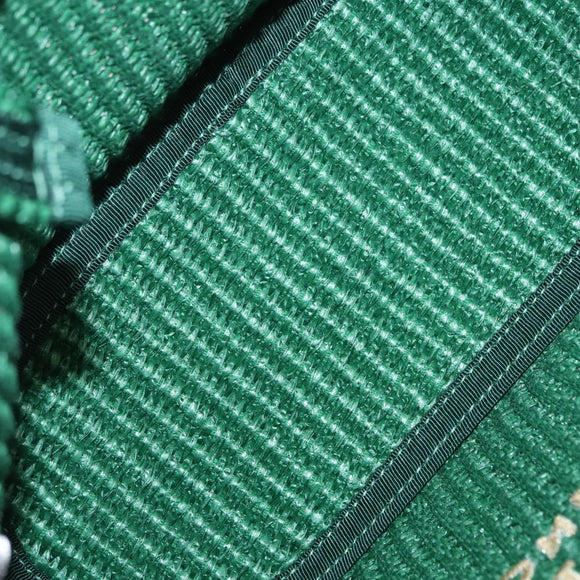 Jimmy Choo Hand Bag Raffia 2way Green Gold Auth BA9200