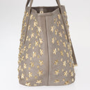 Jimmy Choo Sasha S Tote Bag Leather Silver Gold Auth BA9248-4