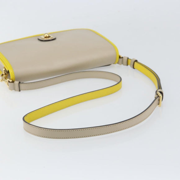 LOEWE Ines Shoulder Bag Leather Ivory Gold Auth BA9271V