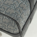 Christian Dior Trotter Canvas Rango 26 Hand Bag 2way Gray Silver Auth BA9637SM-16