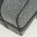 Christian Dior Trotter Canvas Rango 26 Hand Bag 2way Gray Silver Auth BA9637SM-17